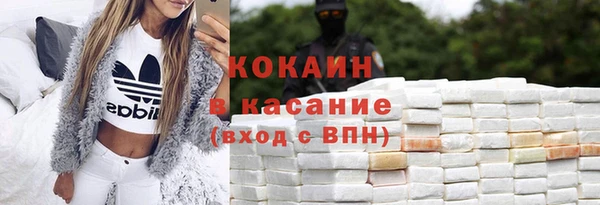 сатива Беломорск