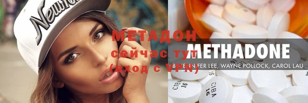 сатива Беломорск