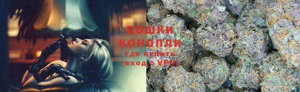 сатива Беломорск