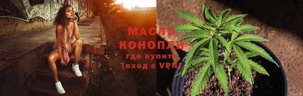 сатива Беломорск